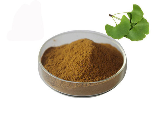China Polvo a granel de Biloba del Ginkgo de la presión arterial de Owering proveedor