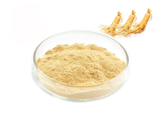 China Polvo natural del extracto del ginseng proveedor