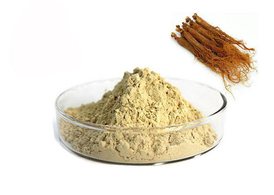 China Extracto rojo del ginseng del 10% Ginsenosides proveedor