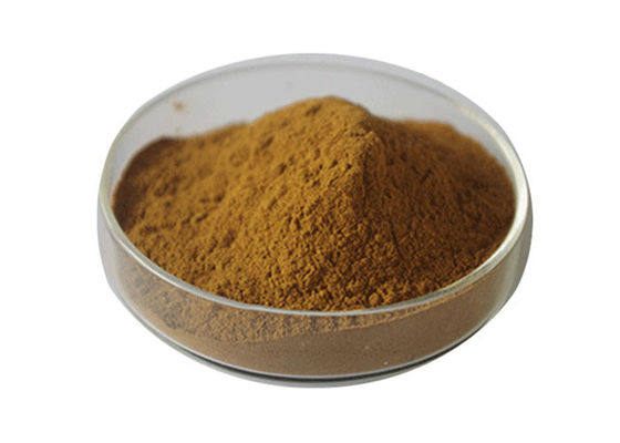 Polvo orgánico de Biloba del Ginkgo del grado de USP proveedor