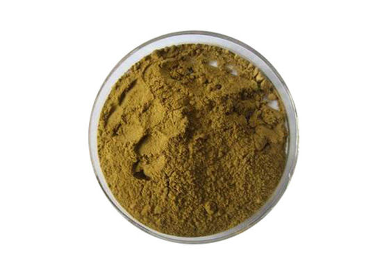 Polvo natural puro del extracto de Biloba del Ginkgo de las lactonas de las flavonas el 6% del 24% proveedor