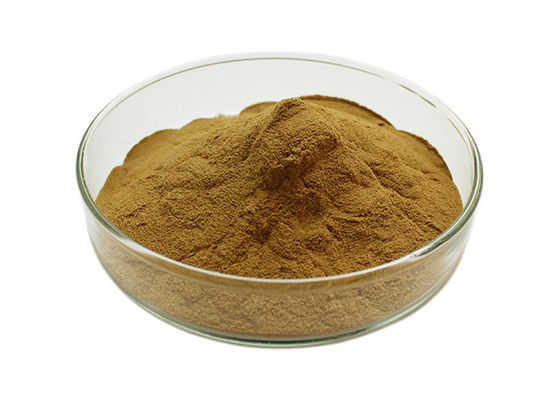 Polvo a granel de Biloba del Ginkgo de la presión arterial de Owering proveedor