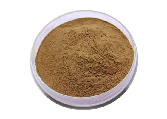 Polvo alimenticio del extracto de la hoja de Biloba del Ginkgo de Brown de la categoría alimenticia proveedor