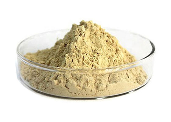 Polvo natural del extracto del ginseng de la raíz farmacéutica del 80% Panax proveedor