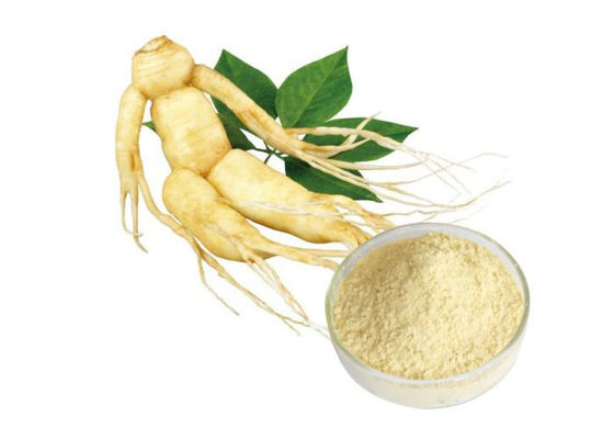 Polvo herbario puro de la raíz del ginseng de CAS 90045-38-8 el 80% Ginsenosides proveedor