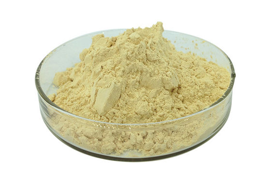 Polvo amarillo claro antienvejecedor del extracto del ginseng del 30% Ginsenosides proveedor