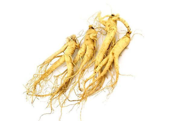 Polvo del extracto del ginseng de Panaxoside de la categoría alimenticia para los productos de la salud proveedor