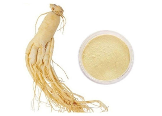 Extracto puro siberiano orgánico del ginseng de la raíz el 30% el 80% Ginsenosides proveedor