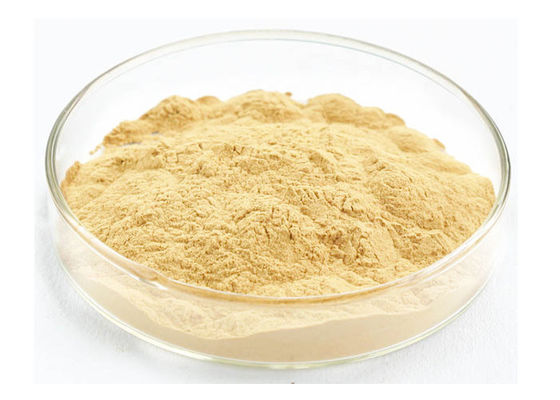 Atención sanitaria que mejora el polvo inmune del extracto del ginseng de la raíz proveedor