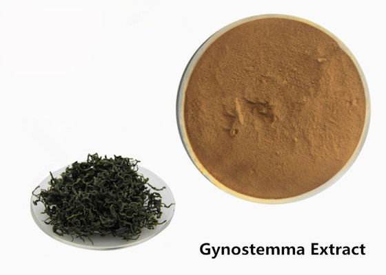 Polvo herbario del extracto de Gynostemma del tumor anti de la categoría alimenticia proveedor