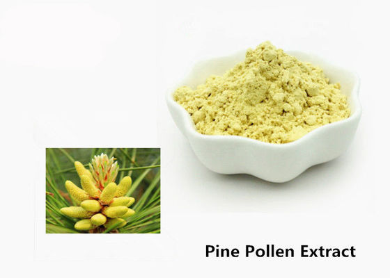 Polvo natural del extracto del polen del pino de la atención sanitaria 1kg proveedor