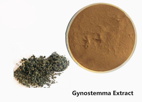 Polvo herbario del extracto de Gynostemma del tumor anti de la categoría alimenticia proveedor