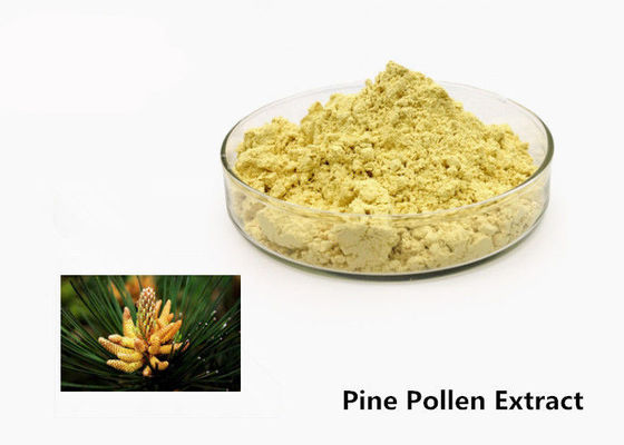 Polvo natural del extracto del polen del pino de la atención sanitaria 1kg proveedor