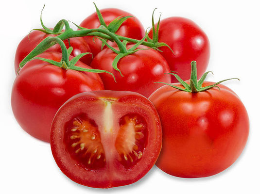 El licopeno 502-65-8 del 6% el 10% el 20% deshidrató el extracto de la fruta del tomate proveedor