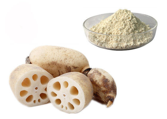 Polvo natural puro del extracto de la verdura de raíz de Lotus del reemplazo de la comida proveedor