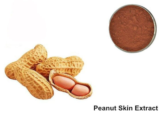 Polvo del extracto de la antocianina de la piel del cacahuete del 95% Proanthocyanidins proveedor