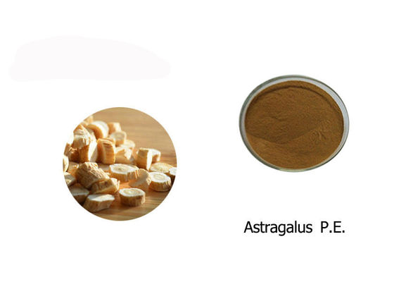 Polvo 100% del extracto del astrágalo proveedor