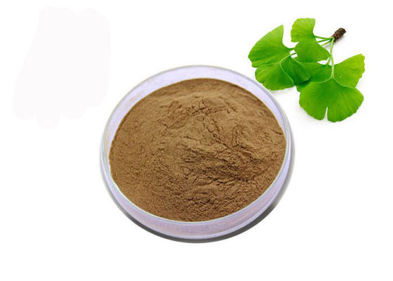 Polvo orgánico de Biloba del Ginkgo del grado de USP proveedor
