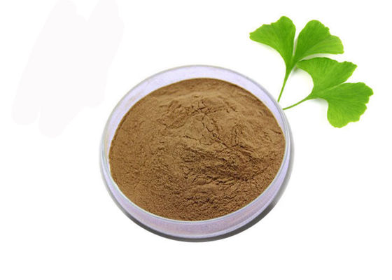 Polvo puro del extracto de Biloba del Ginkgo del oxidante anti del grado médico proveedor