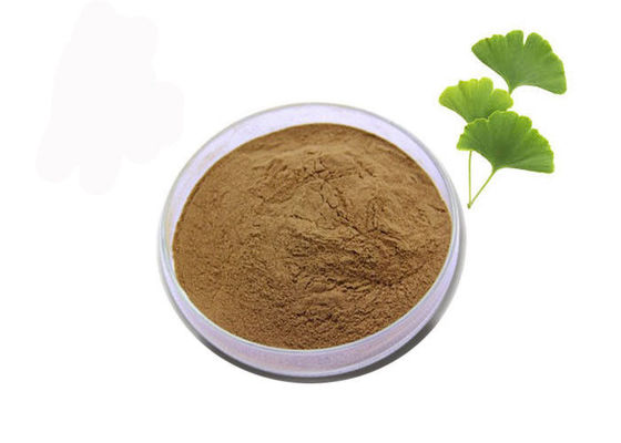 Regule el extracto estandardizado Biloba del Ginkgo de la grasa 24/6 de la sangre proveedor