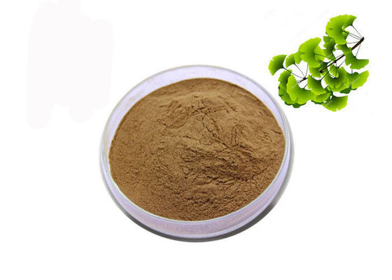 Polvo seco orgánico del extracto de Biloba del Ginkgo de las hojas de CAS 90045-36-6 proveedor