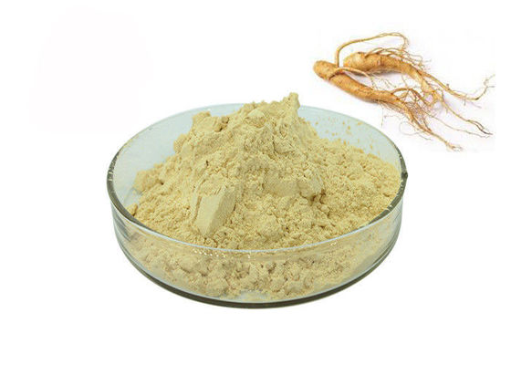 Polvo amarillo claro antienvejecedor del extracto del ginseng del 30% Ginsenosides proveedor