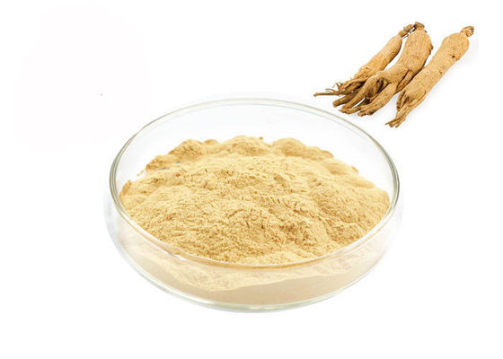 Atención sanitaria que mejora el polvo inmune del extracto del ginseng de la raíz proveedor