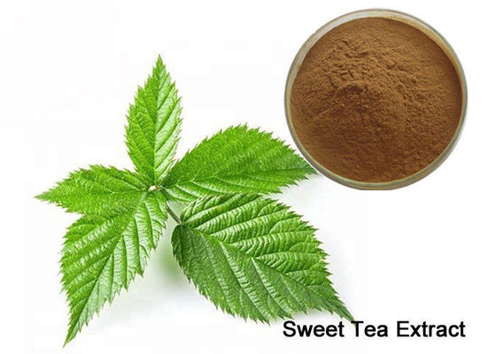 Polvo natural del edulcorante del té dulce del riñón el 80% Rubusoside de Tonify proveedor