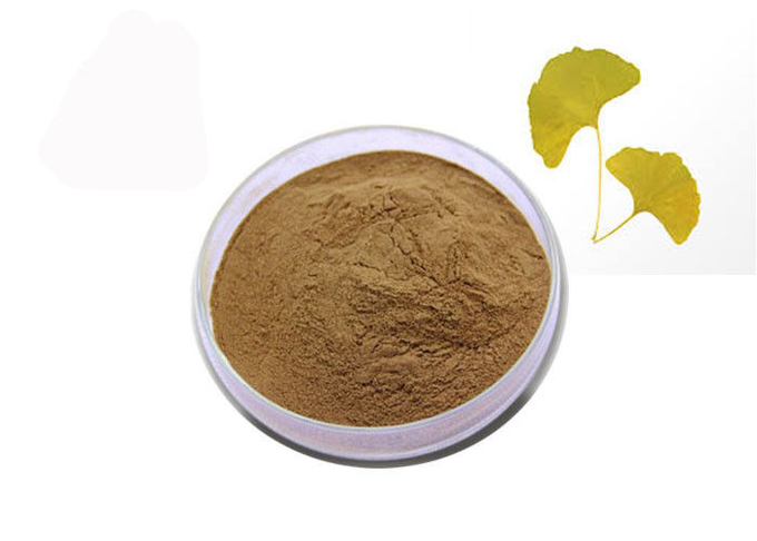 Polvo natural puro del extracto de Biloba del Ginkgo de las lactonas de las flavonas el 6% del 24% 0