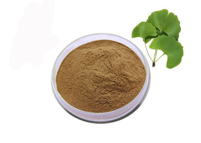 Polvo alimenticio del extracto de la hoja de Biloba del Ginkgo de Brown de la categoría alimenticia 0