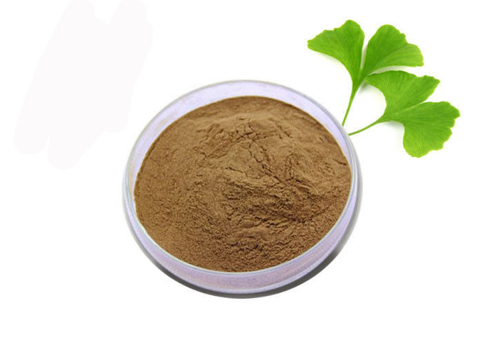 Polvo puro del extracto de Biloba del Ginkgo del oxidante anti del grado médico 0