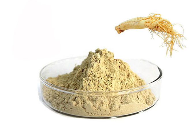 Polvo herbario puro de la raíz del ginseng de CAS 90045-38-8 el 80% Ginsenosides 0