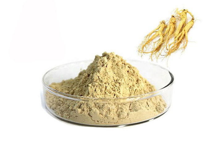 Polvo natural del extracto del ginseng de la raíz farmacéutica del 80% Panax 0