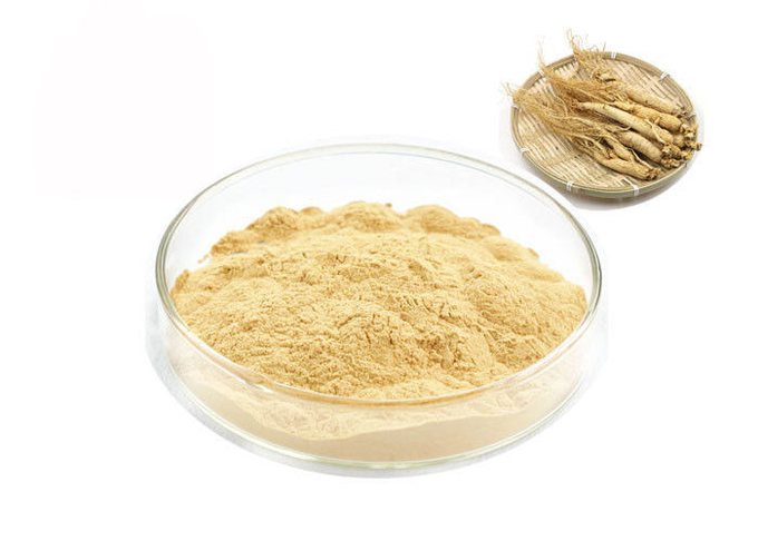 Extracto puro siberiano orgánico del ginseng de la raíz el 30% el 80% Ginsenosides 0