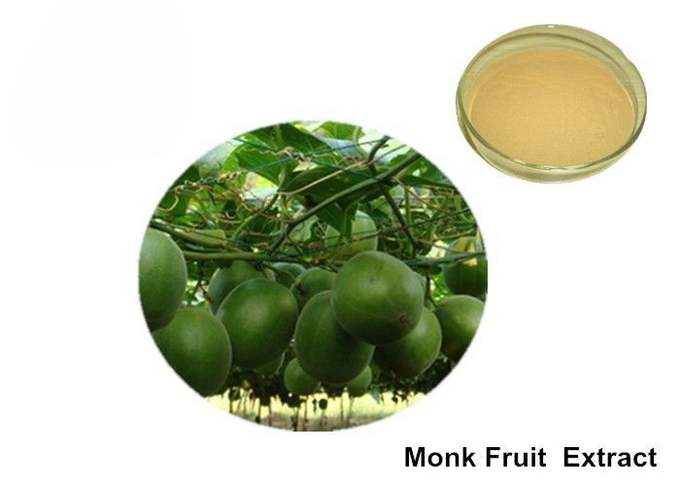 Polvo natural del edulcorante de la fruta orgánica del monje del 40% Mogroside 0